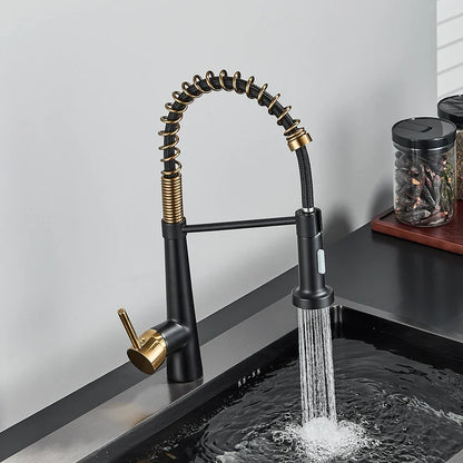 Artfan lighting Black Gold Kitchen Faucet with Pull Down Sprayer