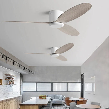 Artfan lighting Black Modern DC Ceiling Fan Remote Control for Office Living Room