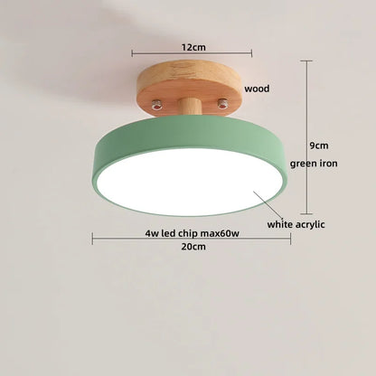 Artfan Acrylic Wood LED Ceiling Light – Nordic Indoor Lighting Fixture