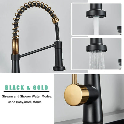 Artfan lighting Black Gold Kitchen Faucet with Pull Down Sprayer