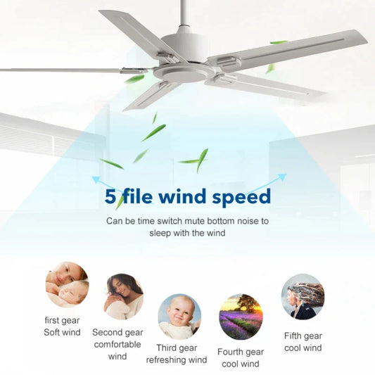 Artfan 52/56 Inch 35W DC Motor Modern Ceiling Fan with Remote Control