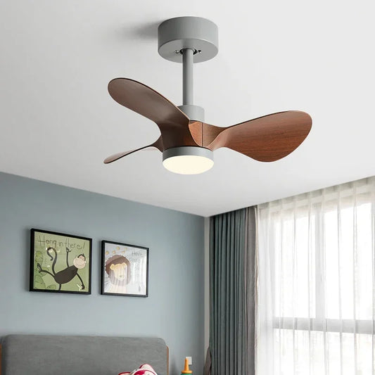 Artfan 24-Inch Mini Ceiling Fan with Lights, Modern Design for Home and Office